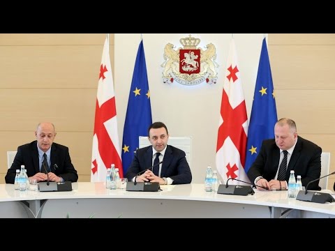 სამუშაო შეხვედრა გუბერნატორებთან