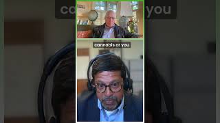 ⚠️🌿 High-Potency Cannabis and Schizophrenia Risk  #high5podcast #PsychosisRisk
