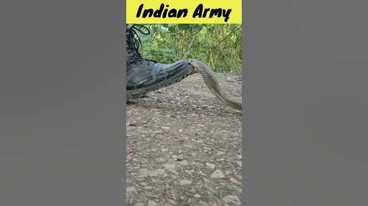 Indian Army के जूते की ताकत | power of indian army | #shorts