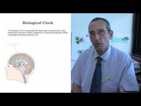 Effect of melatonin on nocturnal blood pressure - Video abstract: 24603