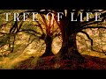 TREE of LIFE | 528HZ Soundscape Tranquility and Peace Sleep