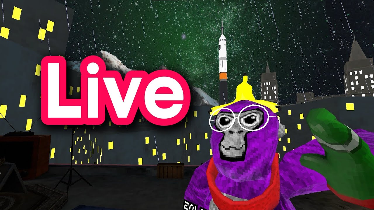 Gorilla tag LIVE with fans!