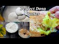 Secret of South indian Masala Dosa  hindi | Perfect dosa batter | paper dosa recipe in Hindi| south