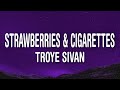 Troye Sivan - Strawberries &amp; Cigarettes (Lyrics)