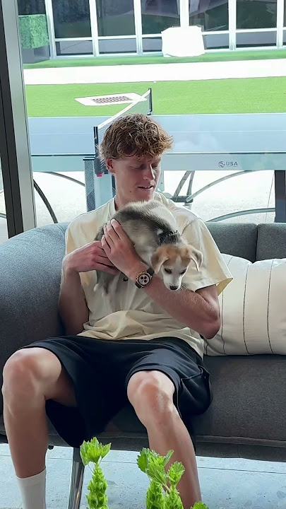 Jannik Sinner meets and cuddles puppy at Cincinnati Open #puppy #tennis #sinner #dog