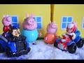 Paw Patrol Episode Ryder Chase Peppa Pigs House Daddy Pig Mammy Pig George pig Animation