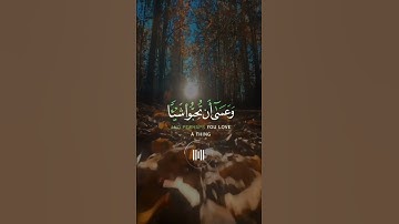 وعسى ان تكرهوا شيئا وهو خير لكم #قرآن#قران_كريم #تلاوة_خاشعة #راحة_نفسية#قران_كريم#سورة_البقرة#لايك