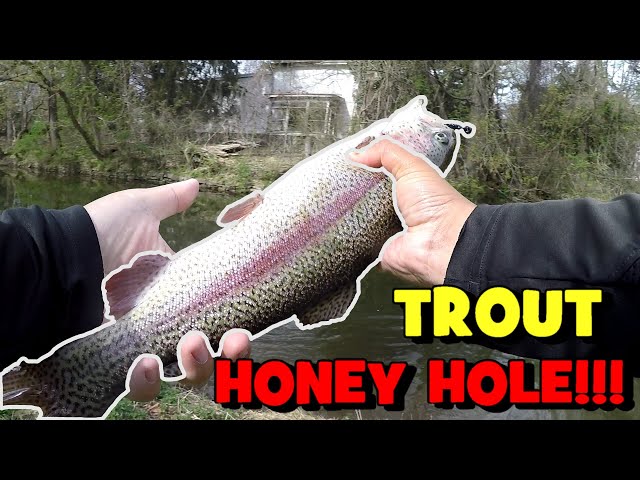 I DEFINITELY FOUND the Trout HONEY HOLE in NJ!!! 