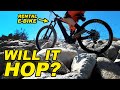How Hard Can You Ride An E-MTB?