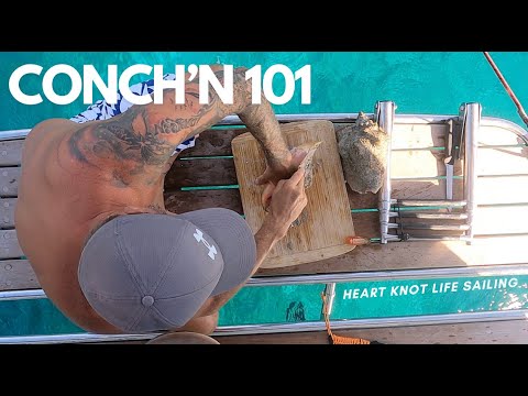 How to get a Conch out of it’s shell | CONCH’N  101 | EP 127