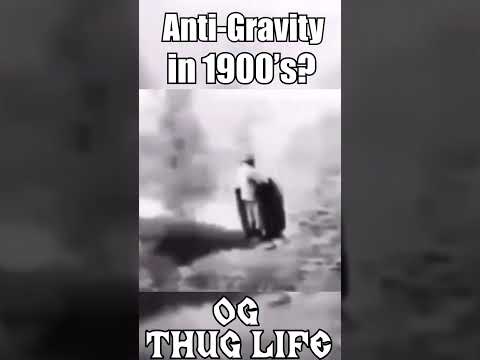 Tartaria THUG LIFE Shorts 4