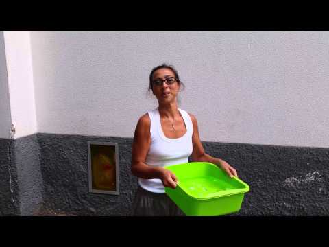 #ICEBUCKETCHALLENGE!!! Tutti insieme contro la SLA!