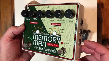 EHX  Memory Man Deluxe 550 TT and Dual Expression Pedal