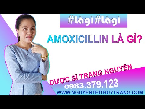 Video: Amoxicillin Có An Toàn Cho Chó Không?