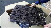 鹿肉で犬用ジャーキー作ってみた Youtube 鹿肉で犬用ジャーキー作ってみた Youtube