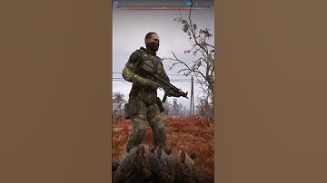 Multi-tushkan anomaly #stalker2 #BFG #gaming #bug #glitch