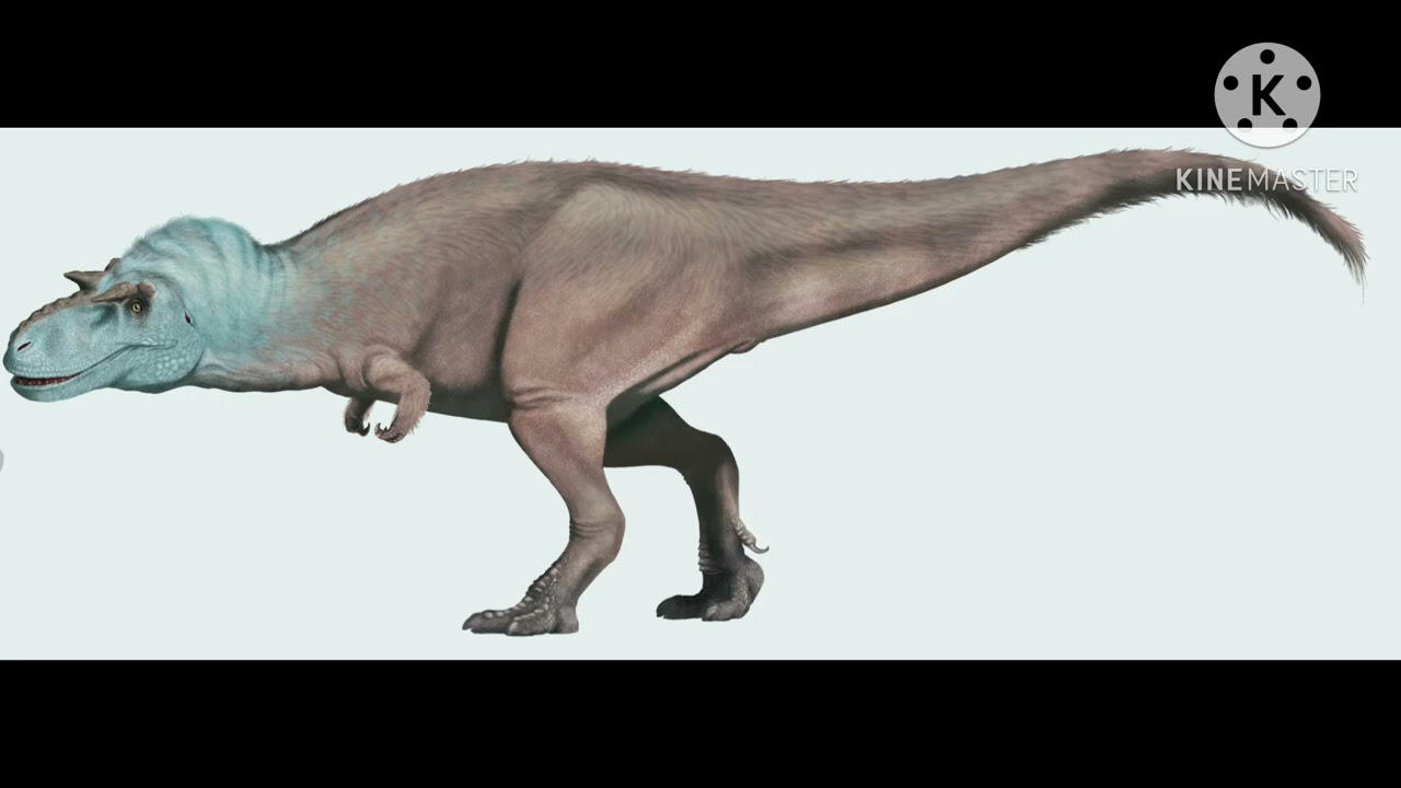 Gorgosaurus libratus