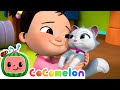 Cece had a little cat  cocomelon nursery rhymes  kids songs