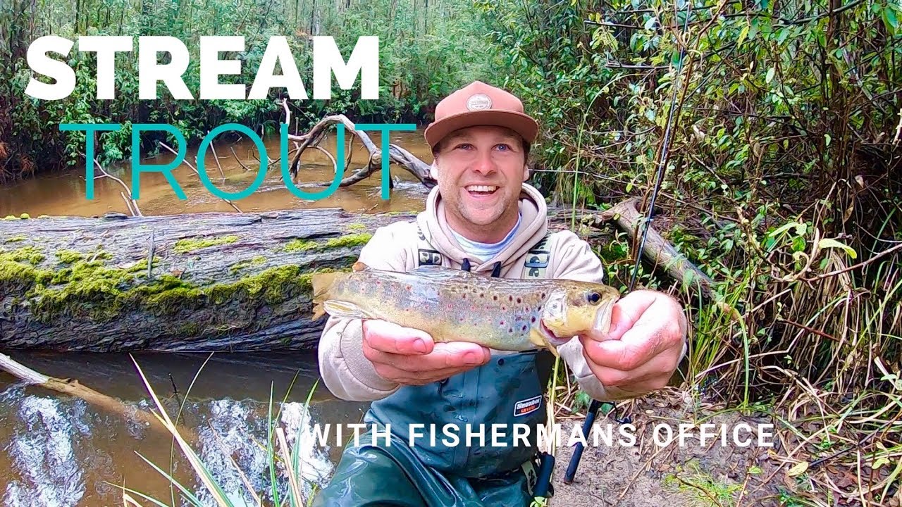 TROUT Fishing Victoria - the streams are starting to clear - YouTube