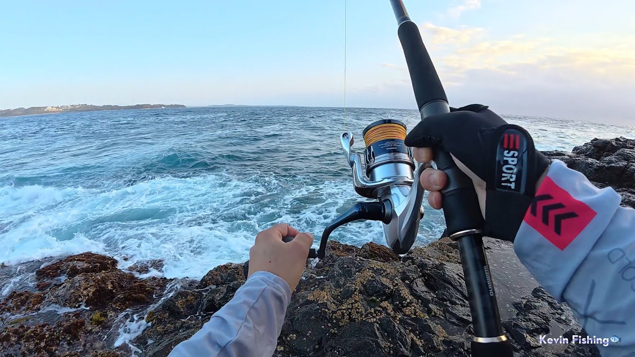 One crazy day, caugth a lot of bonito at the ledge with mate - một ngày câu cá ở Úc 🐟