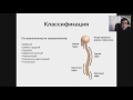 Сколиоз у детей: клиника диагностика лечение (вебинар)