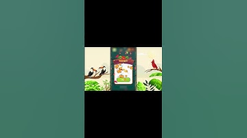 Bird Sort Color Puzzle (Trailer)