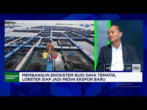 Targeting Lobster Exports to China & Japan, Ministry of Marine Affairs and Fisheries Expands Cult...