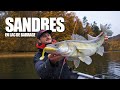Zander fishing in reservoir with Tom Couchoud : just a SIZE question !