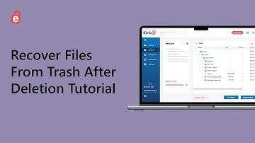 How to Recover Files/Folders From Trash Post Deletion | IDrive Online Restore