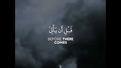 القارئ طارق محمد سورة (البقرة) الاية 254