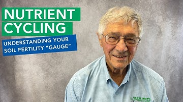 Nutrient Cycling: Understanding Your Soil "Gauge"