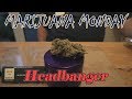 Headbanger Marijuana Monday