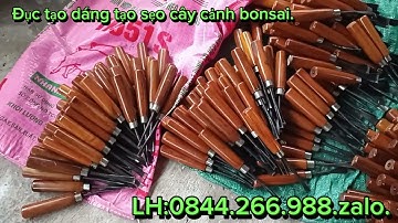 Báo giá bộ đục làm tạo dáng cây cảnh 10 cây đục mài sắc thép lò so cáp tây.