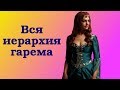 Иерархия в гареме: карьера одалиски