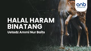Halal Haram Binatang | Ustadz Ammi Nur Baits, ST., BA.