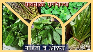 मबईल मळणऱय रनभजय वषश वहडओ पवसळ रनभजय अपरतम चवचय हलद भजय