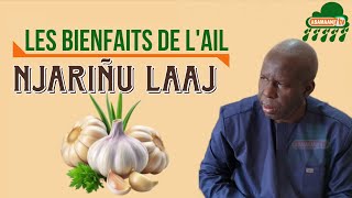 The medicinal virtues of garlic on health Ndiarignou Lathie: Professor Serigne Samba Ndiaye, Trad...