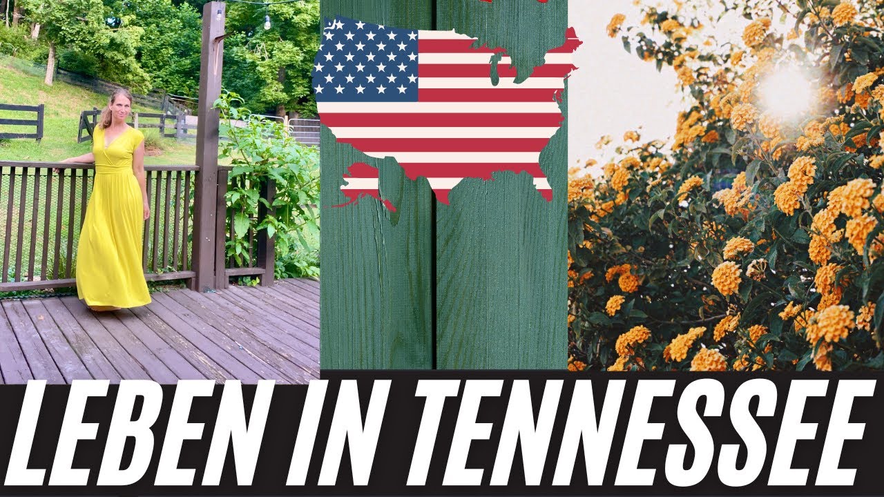 Auswandern USA 🇺🇸. HANGRY in Tennessee. Was gibts zu ESSEN? Stallsuche, der WAHNSINN geht weiter.