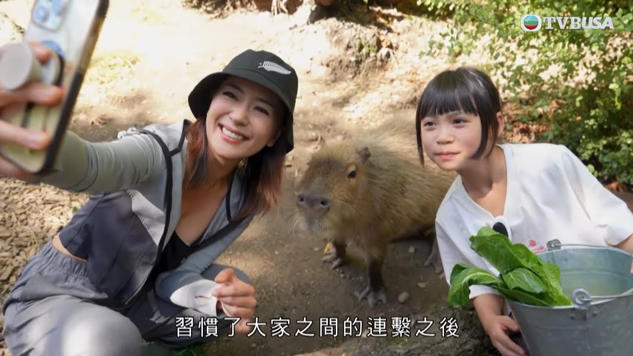 新西蘭潮什麼｜走入野生保育園！奇異鳥、水豚自由走動零距離互動｜梁芷珮｜旅遊｜新西蘭｜TVBUSA