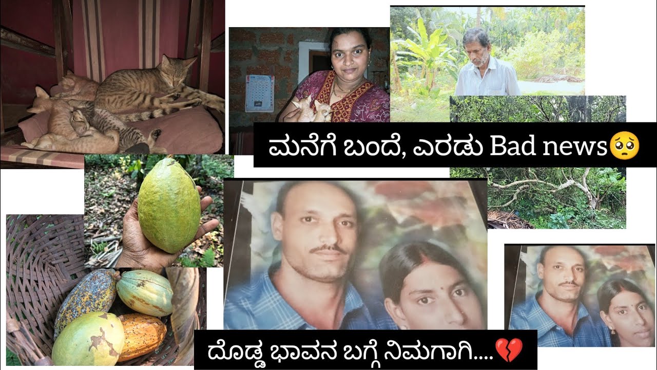 Back to Home🏠ನಾನಿಲ್ಲದೆ ಏನೆಲ್ಲಾ ಆಗಿದೆ🙄 ದೊಡ್ಡ ಭಾವನ ಬಗ್ಗೆ ನಿಮಗಾಗಿ.....