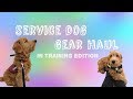 Service Dog Gear Haul || In Training Edition