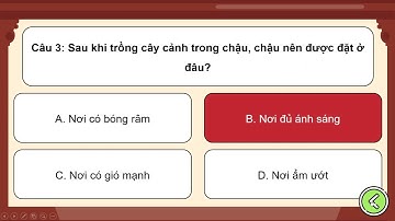 Trò chơi khởi động Công nghệ 4 Cánh diều bài 7: Trồng và chăm sóc cây cảnh | AI CN 4 Cánh diều