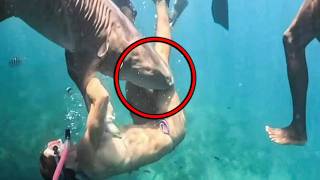 The most BRUTAL animal ATTACKS caught ON CAMERA!
Some people think that nature’s greatest danger is in the movies. But reality can be far worse. In just a few seconds, a walk, a job, or even a simple approach can turn into a desperate race for survival. Between bites, chases, and unexpected attacks, these are some of the most brutal moments involving animals ever recorded.
📩 bussiness(@)trendschannel.net The most BRUTAL animal ATTACKS caught ON CAMERA!