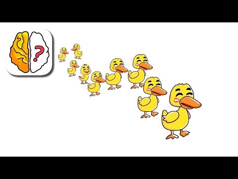 Brain Out Сколько уток