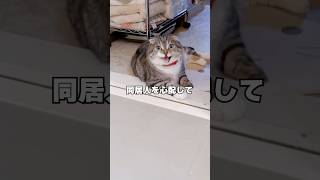 大嫌いなお風呂vs飼い主の命の結末がコチラ #猫