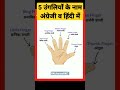 5 Finger S Name In English🥠ॠॠFive Fingers Name🥠ॠॠShorts Grammar 5 Finger S Name In English🥠ॠॠFive Fingers Name🥠ॠॠShorts Grammar