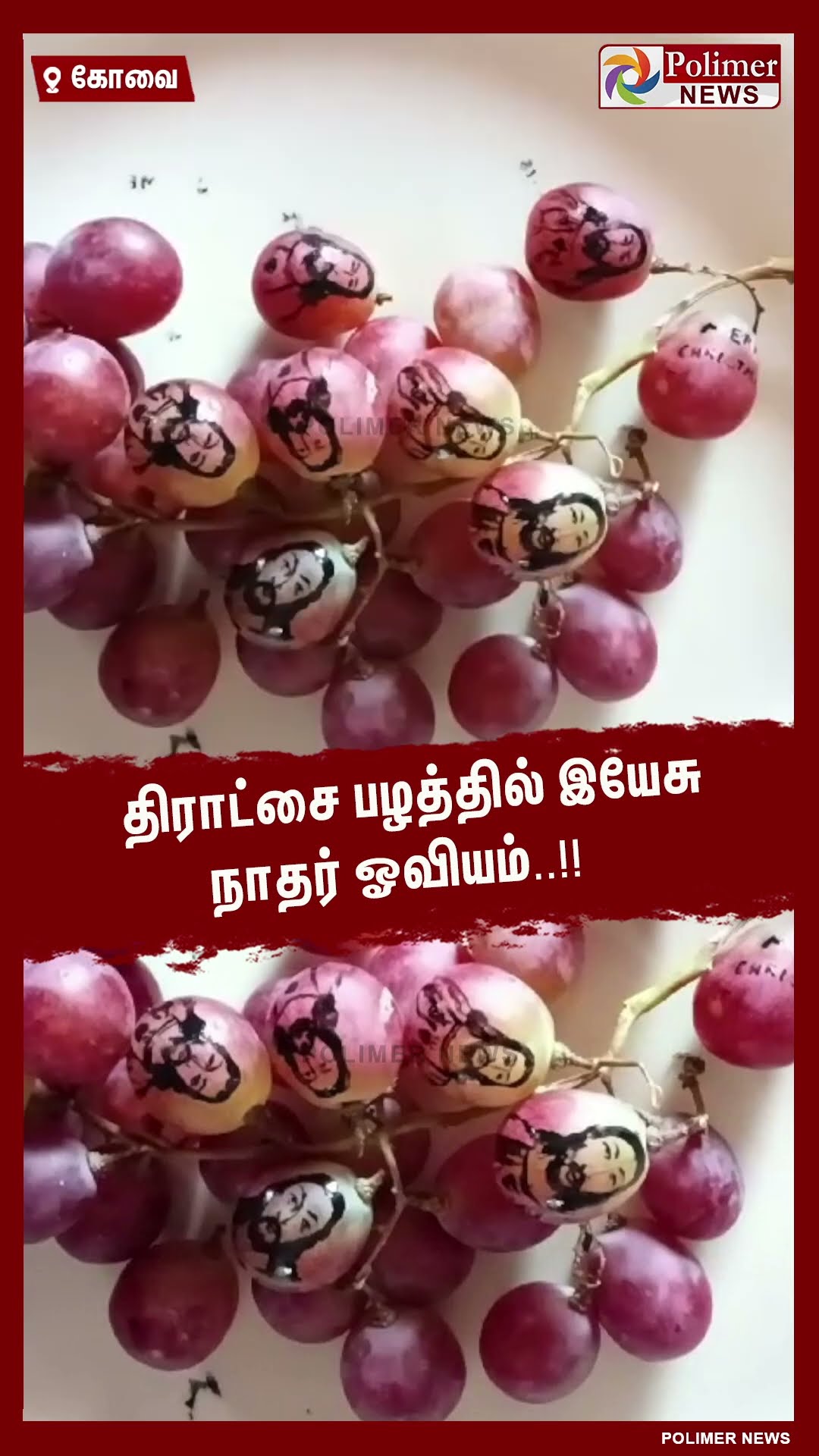 திராட்சை பழத்தில் இயேசு நாதர் ஓவியம்..   #shorts | #grapes | #christmas | #jesuschrist