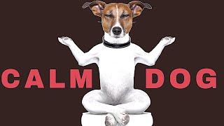 Sound To Calm Dogs Within 5 Minutes  | Dog Hypnosis