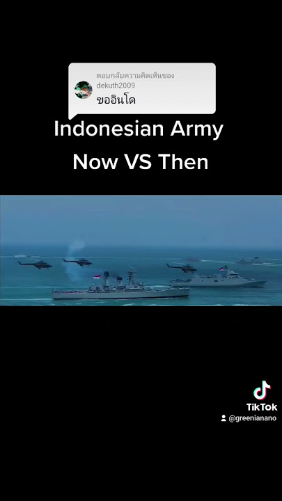 Indonesian Army [Now VS Then]