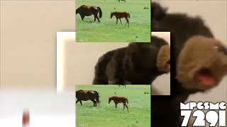 Request Ytpmv Baby Van Gogh Remake Brown Segment Scan